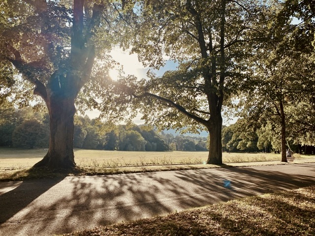 Lichtentaler Allee im Sonnenlicht